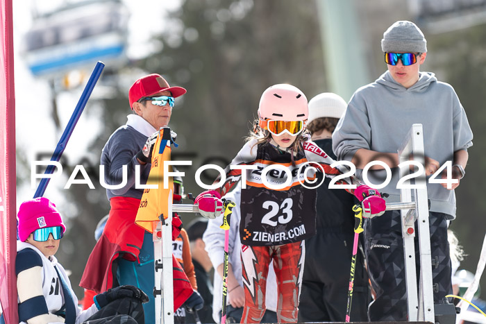 Ziener Cup Finale WF PSL, 30.03.2024 