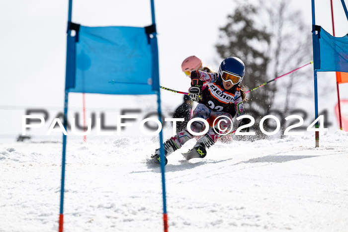 Ziener Cup Finale WF PSL, 30.03.2024 