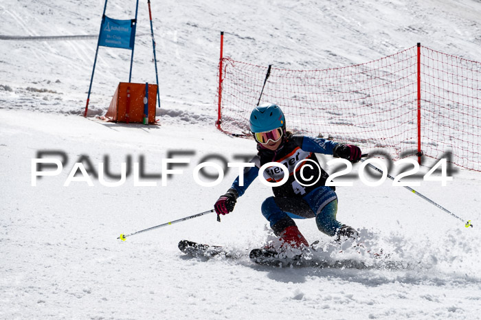 Ziener Cup Finale WF PSL, 30.03.2024 