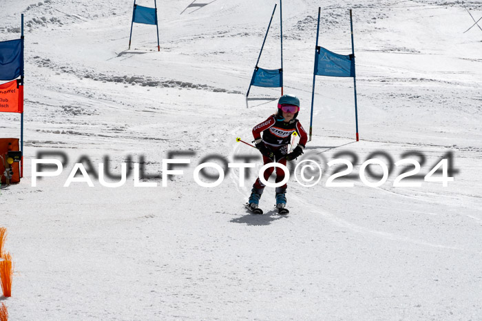 Ziener Cup Finale WF PSL, 30.03.2024 