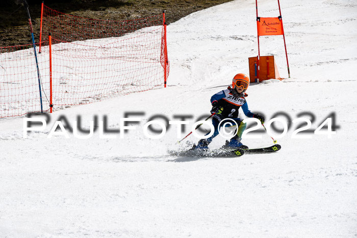 Ziener Cup Finale WF PSL, 30.03.2024 