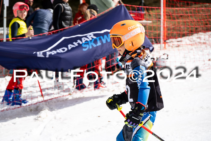 Ziener Cup Finale WF PSL, 30.03.2024 