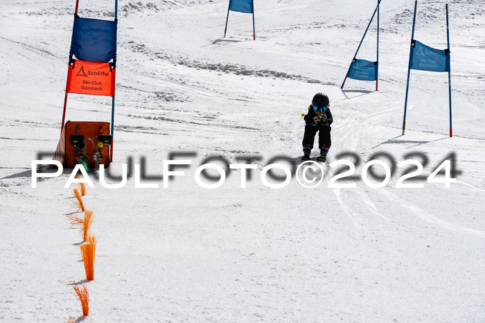 Ziener Cup Finale WF PSL, 30.03.2024 