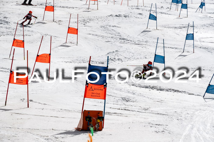 Ziener Cup Finale WF PSL, 30.03.2024 