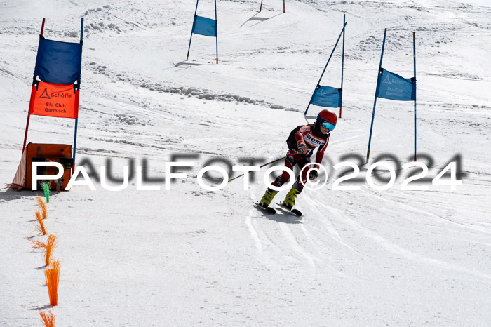 Ziener Cup Finale WF PSL, 30.03.2024 