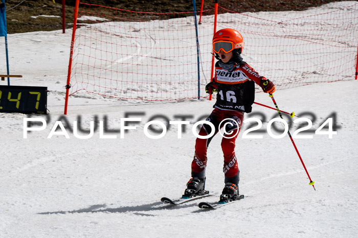 Ziener Cup Finale WF PSL, 30.03.2024 