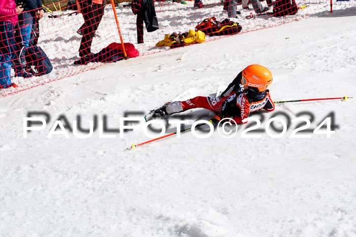 Ziener Cup Finale WF PSL, 30.03.2024 