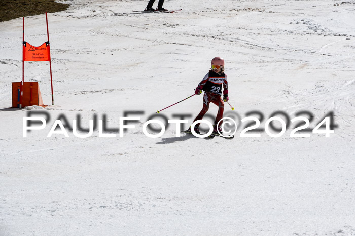 Ziener Cup Finale WF PSL, 30.03.2024 