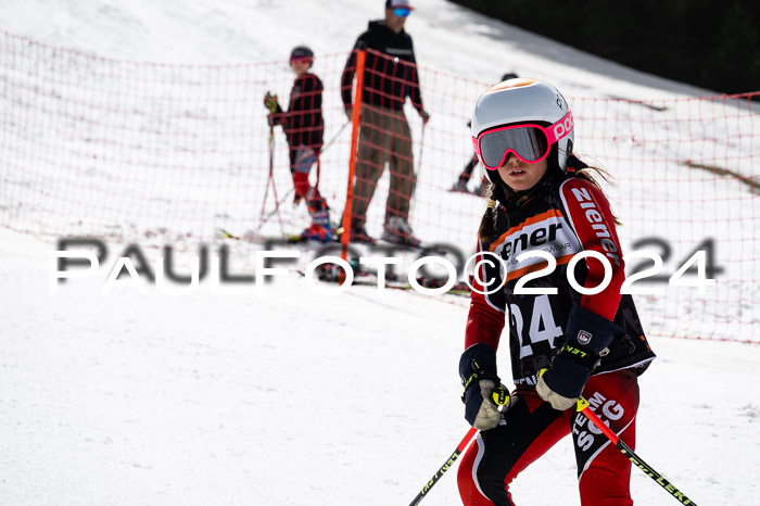Ziener Cup Finale WF PSL, 30.03.2024 