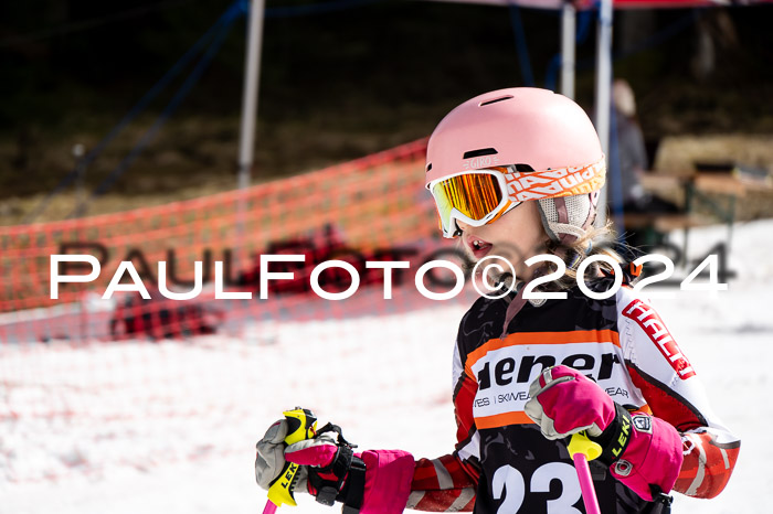 Ziener Cup Finale WF PSL, 30.03.2024 