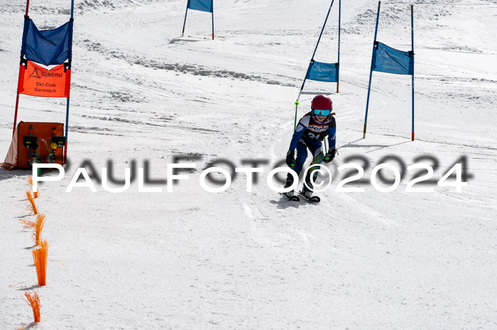 Ziener Cup Finale WF PSL, 30.03.2024 