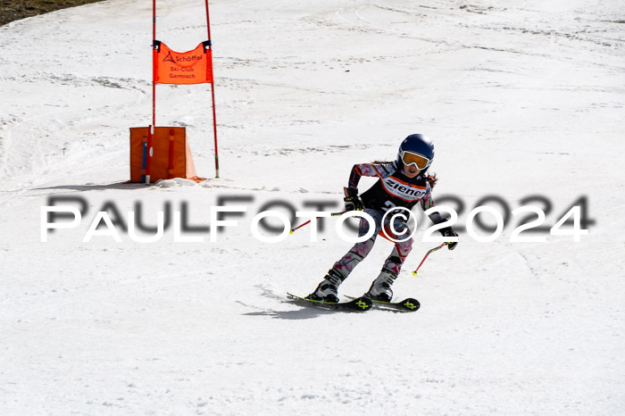 Ziener Cup Finale WF PSL, 30.03.2024 