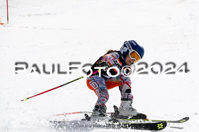Ziener Cup Finale WF PSL, 30.03.2024 