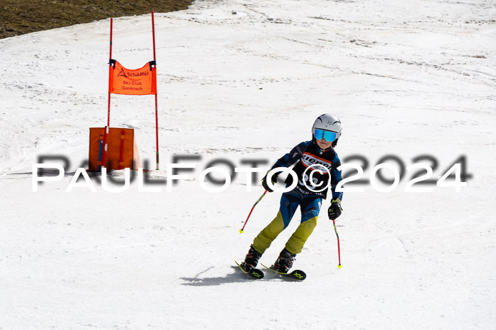 Ziener Cup Finale WF PSL, 30.03.2024 