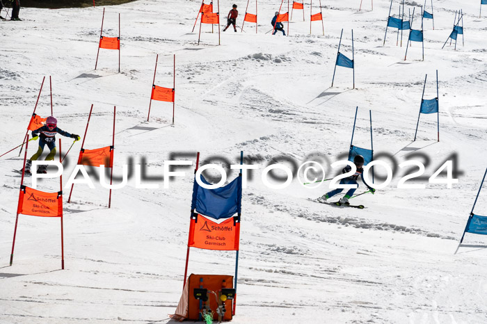 Ziener Cup Finale WF PSL, 30.03.2024 