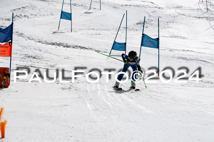 Ziener Cup Finale WF PSL, 30.03.2024 