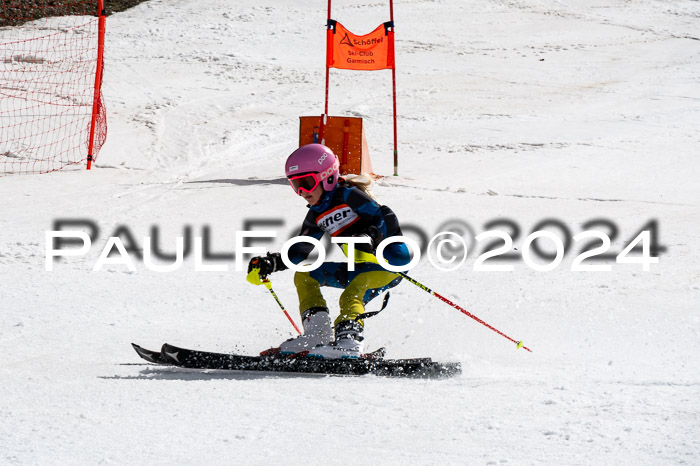 Ziener Cup Finale WF PSL, 30.03.2024 