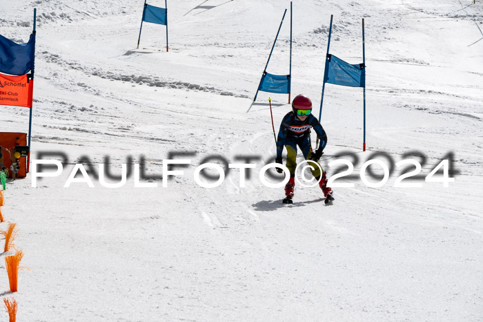 Ziener Cup Finale WF PSL, 30.03.2024 