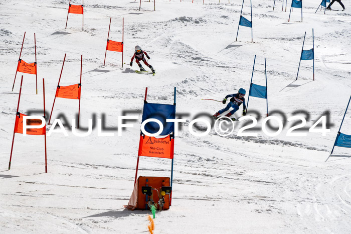 Ziener Cup Finale WF PSL, 30.03.2024 