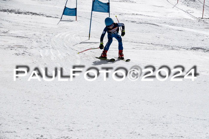 Ziener Cup Finale WF PSL, 30.03.2024 