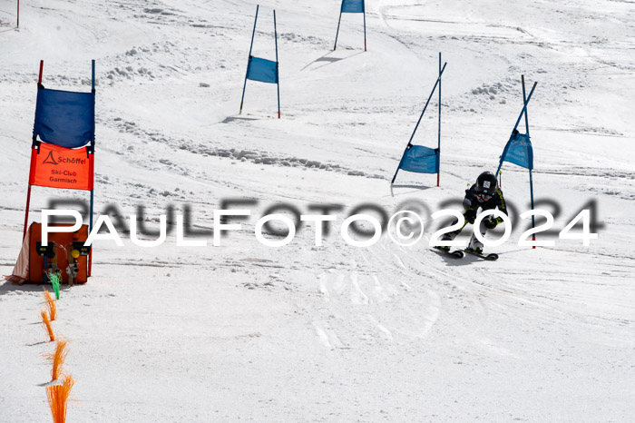 Ziener Cup Finale WF PSL, 30.03.2024 