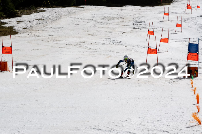 Ziener Cup Finale WF PSL, 30.03.2024 