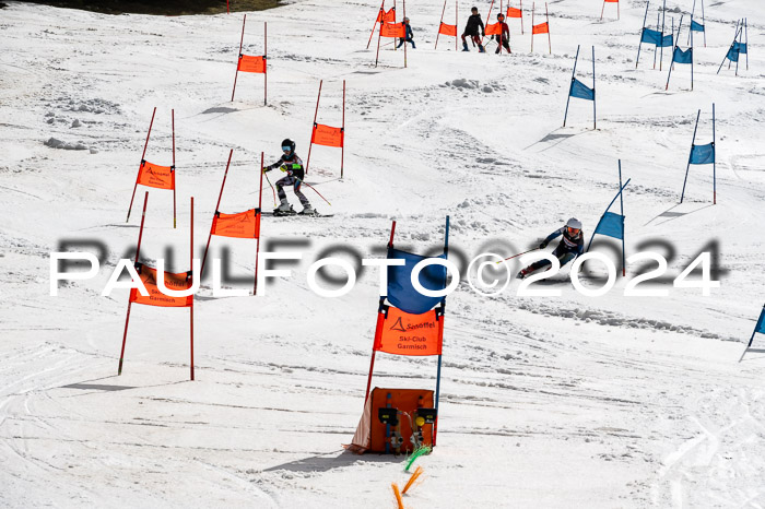 Ziener Cup Finale WF PSL, 30.03.2024 
