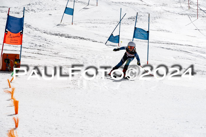 Ziener Cup Finale WF PSL, 30.03.2024 