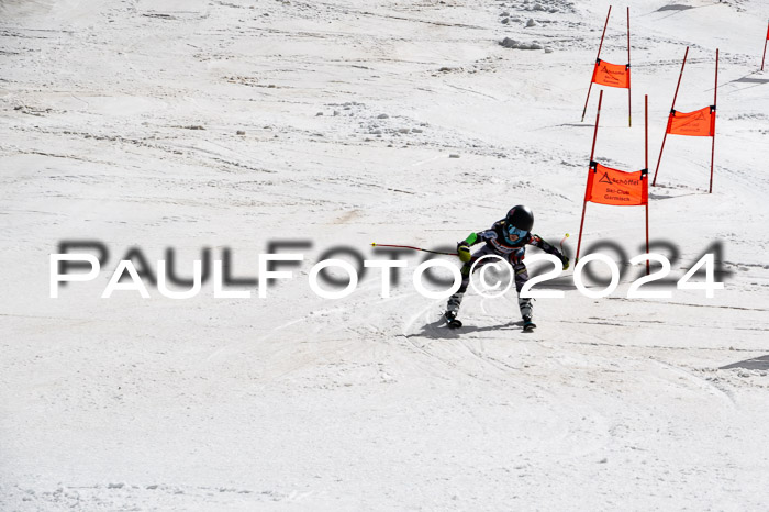 Ziener Cup Finale WF PSL, 30.03.2024 