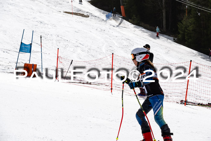 Ziener Cup Finale WF PSL, 30.03.2024 