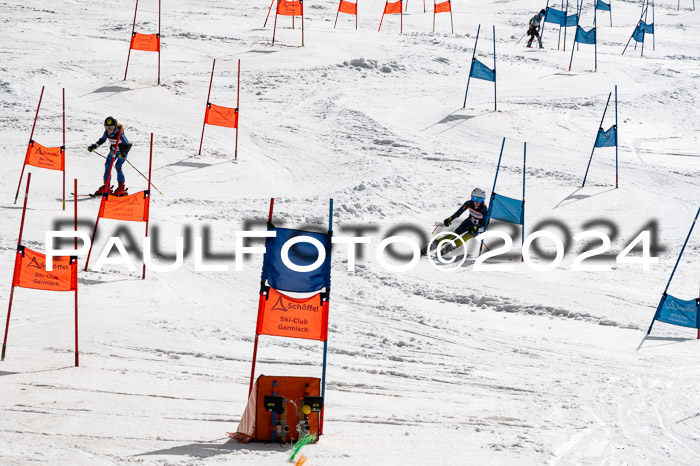 Ziener Cup Finale WF PSL, 30.03.2024 