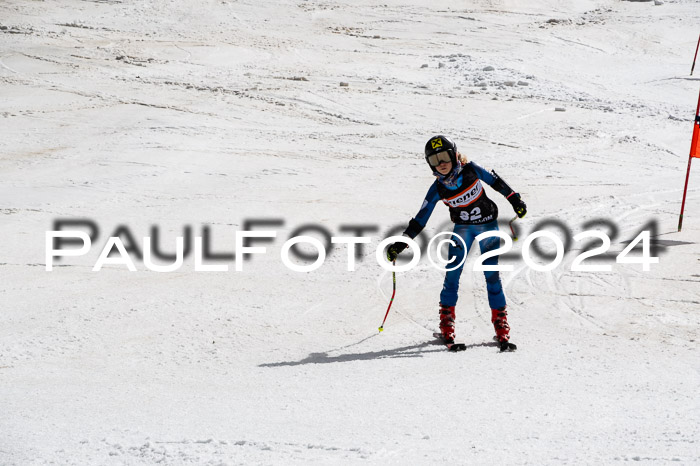 Ziener Cup Finale WF PSL, 30.03.2024 