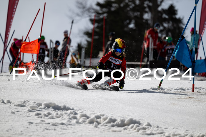 Ziener Cup Finale WF PSL, 30.03.2024 