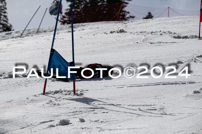 Ziener Cup Finale WF PSL, 30.03.2024 