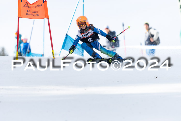 Ziener Cup Finale WF PSL, 30.03.2024 