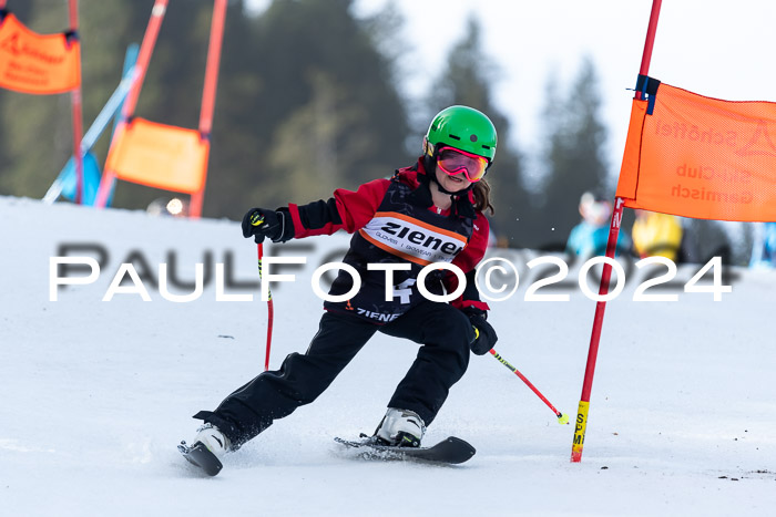 Ziener Cup Finale WF PSL, 30.03.2024 