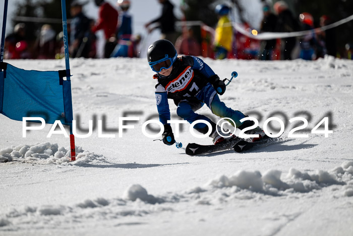 Ziener Cup Finale WF PSL, 30.03.2024 