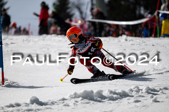 Ziener Cup Finale WF PSL, 30.03.2024 