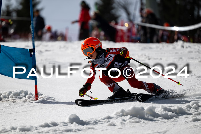 Ziener Cup Finale WF PSL, 30.03.2024 