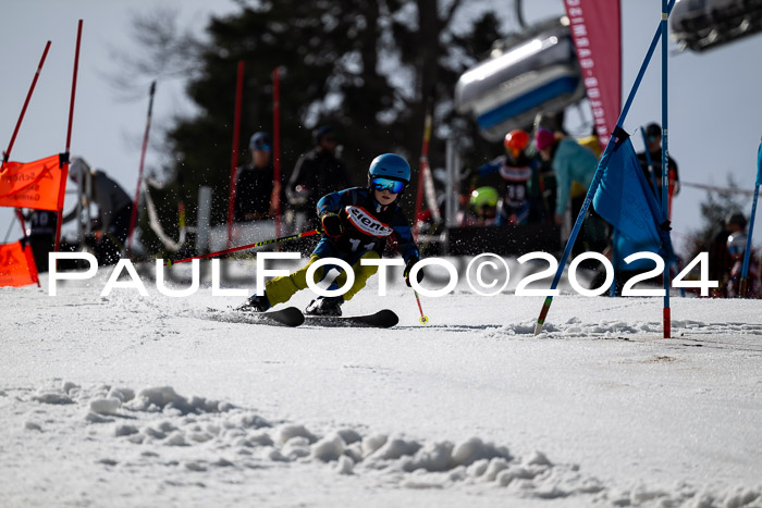 Ziener Cup Finale WF PSL, 30.03.2024 