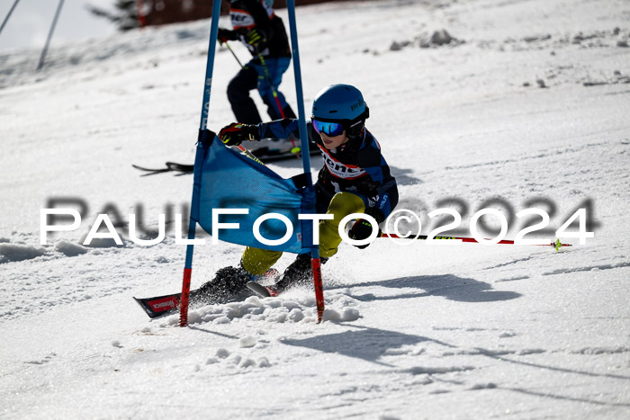 Ziener Cup Finale WF PSL, 30.03.2024 