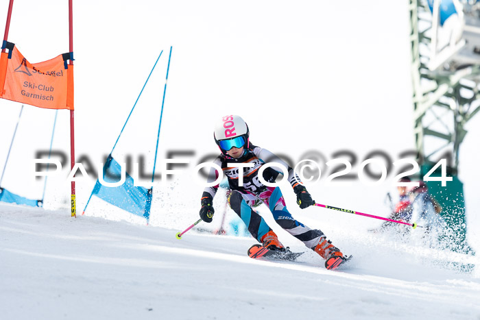 Ziener Cup Finale WF PSL, 30.03.2024 