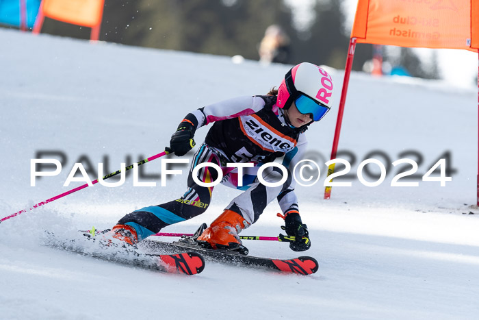 Ziener Cup Finale WF PSL, 30.03.2024 