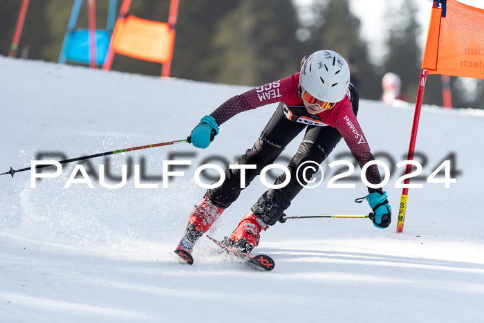 Ziener Cup Finale WF PSL, 30.03.2024 