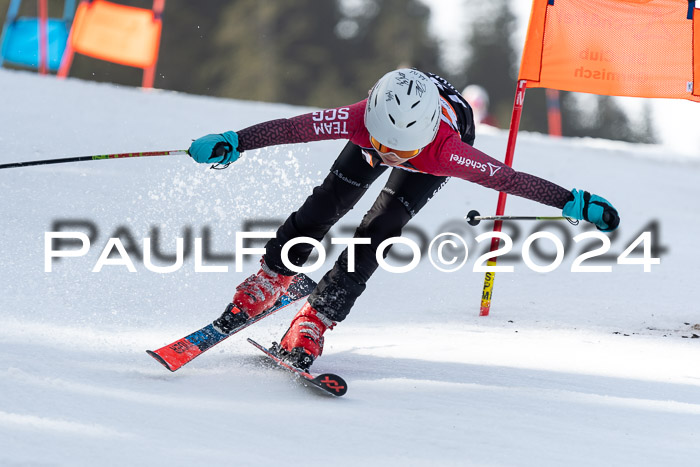 Ziener Cup Finale WF PSL, 30.03.2024 
