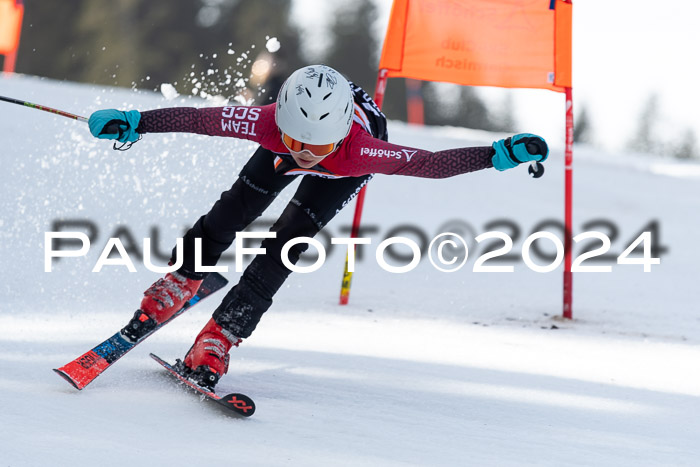 Ziener Cup Finale WF PSL, 30.03.2024 
