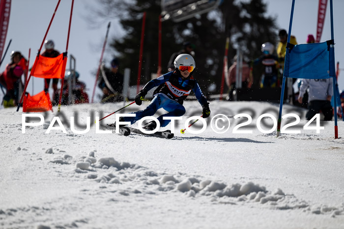Ziener Cup Finale WF PSL, 30.03.2024 