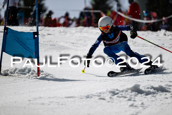 Ziener Cup Finale WF PSL, 30.03.2024 