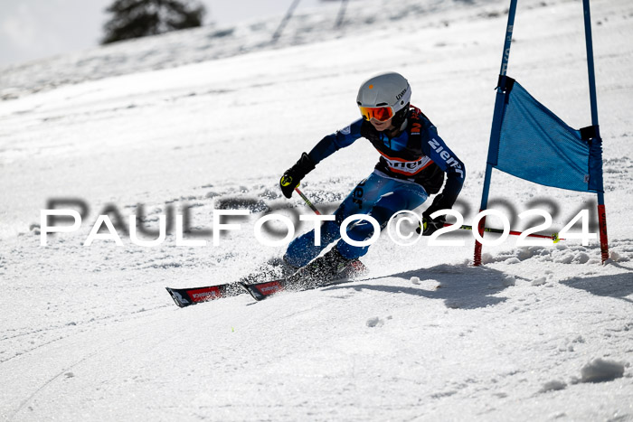 Ziener Cup Finale WF PSL, 30.03.2024 