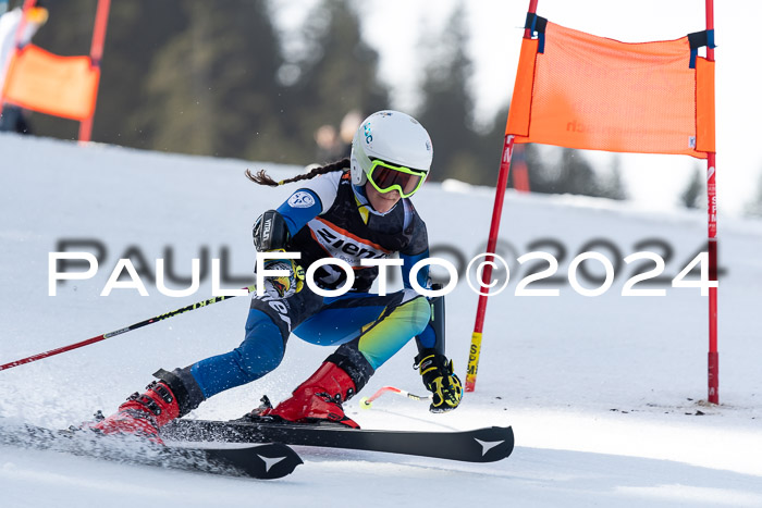 Ziener Cup Finale WF PSL, 30.03.2024 